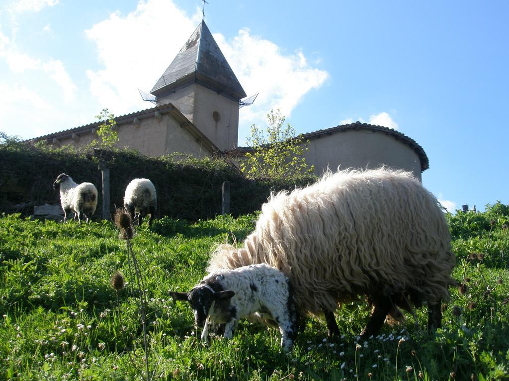 Casa Rural Parriola Villanueva de Arce 외부 사진